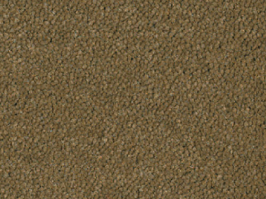22a72314c99c09bb1cbf733a70d4d406_1570761931_34.png