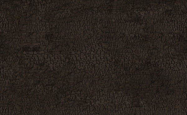 9e7d542cb9d0b7554e9464201e2af373_1570760136_63.jpg